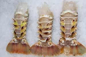 Lobster Tail 6